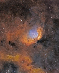 The Tulip Nebula