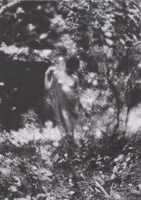 American Pastoral (Charles J Cook) (2011)