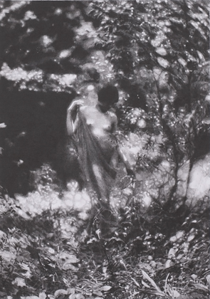 American Pastoral (Charles J Cook) (2011)