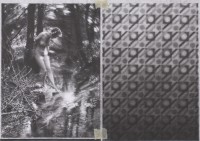 American Pastoral - Ostalgie Pattern with Tape (2011)