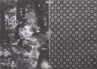 American Pastoral - Ostalgie Pattern with Tape II (2011)