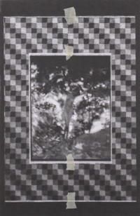 Nude with Pattern (Superimpostion) (2011)
