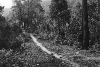 Brushed Path A Line in Nepal, A 21 Day Footpath Walk (1983)