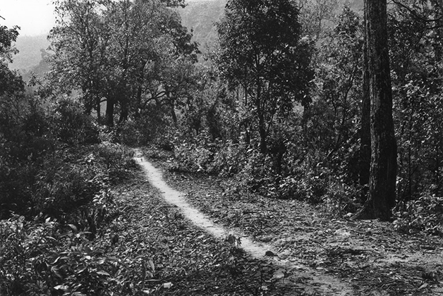 Brushed Path A Line in Nepal, A 21 Day Footpath Walk (1983)