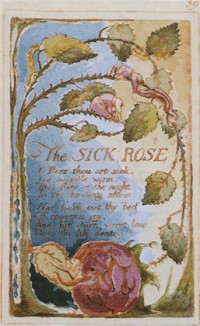 Color Plate 8 - "The Sick Rose", Songs (1794), plate 39. Copy Z, 1826.
