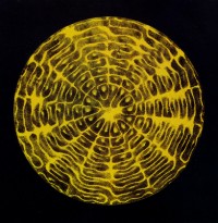 Sonorous Figure (1967)