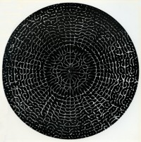 Sonorous Figure excited on a circular steel plate (1967)