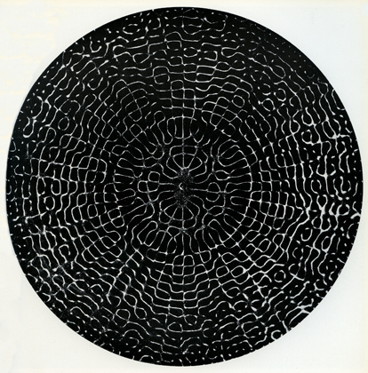 Sonorous Figure excited on a circular steel plate (1967)