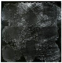 Tonoscope. Bach, Toccata and Fugue in D Minor, 1st Movement, bar 29, start of ff passage (1967)