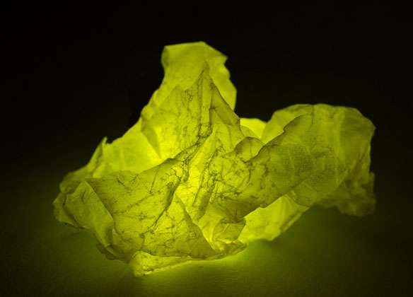 Untitled (Ephemera) 7 (2011)