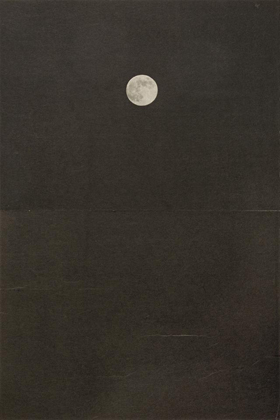 The House Is Black, 2008