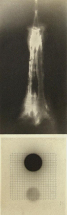 The House Is Black, 2008