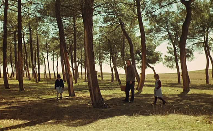 Ana Torrent as "Ana" in THE SPIRIT OF THE BEEHIVE