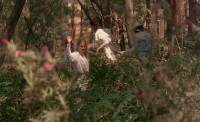 Anne Lambert as "Miranda" in PICNIC AT HANGING ROCK