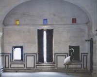 Light of the World, Zanana, Nawalgarh, from India Song, (2008-10)