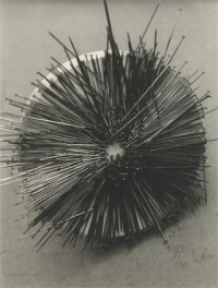 La Maison Vol.4: Les Vêntements/Clothes