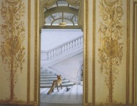 Ledoux's Reception, Musée Carnavalet, in Fables (2003-8)