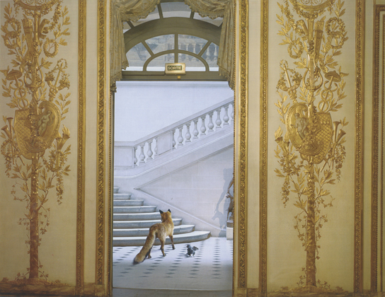 Ledoux's Reception, Musée Carnavalet, in Fables (2003-8)