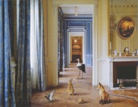 The Corridor, Musée Carnavalet, from Fables (2003-8) 