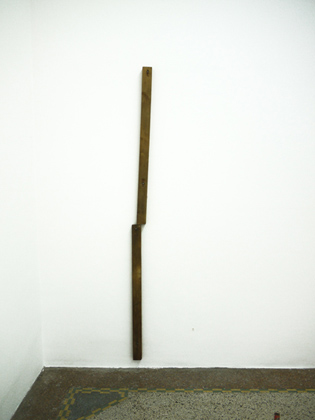 Portrait of My Mother 2 (2010) Dependance, Brussels