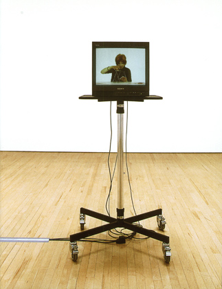 Monika - Installation view, New British Art 2000, Tate Britain