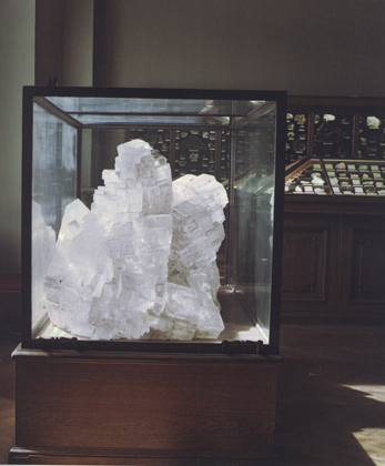 Vitrinen in Arbeit (2002-5)