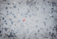 Sweetheart, 2002, On the soiled sidewalk, a single heart-shaped lollipop. Photo by Tony Feher