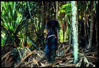 Ad Campaign Spring/Summer 1985. copyright by Hans Feuerer/Wib