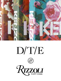 RIzzoli_DTE