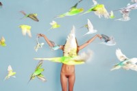 Parakeets (2011)