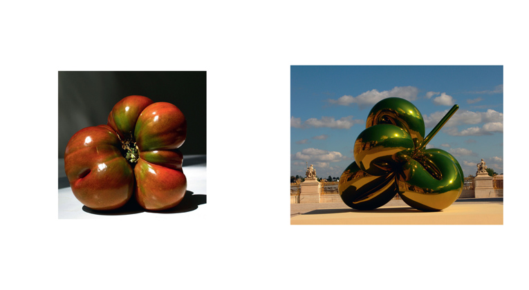 Left: Heirloom Tomato, West Cornwall, Connecticut, August 2009 ; Right: Balloon Flower Yellow (1995–2000), Jeff Koons, Versailles, France, September 2008