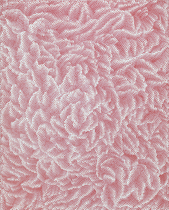 Infinity-Nets (NDTY), 2011.  Courtesy Gagosian Gallery, New York  (Acrylic on canvas 63 13/16 x 51 1/4 inches 162 x 130.3 cm) 