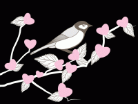 to: Lover Boy  from: The Believer