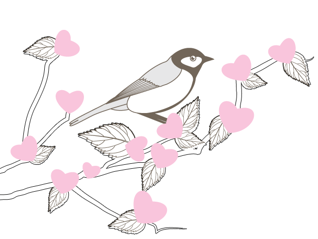 to: Bano from: Trixie