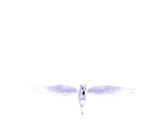 to: David  from: Tina