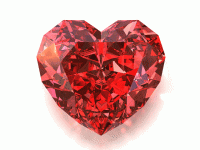 to: Steel Crotch   from: Raptor