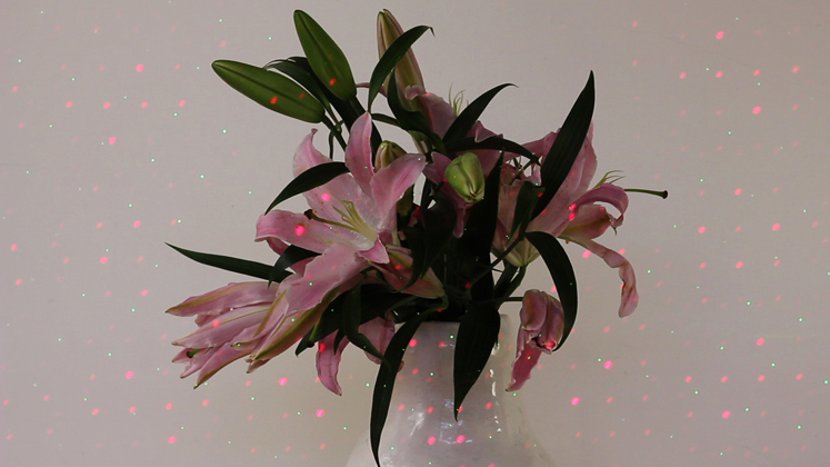 Actual Reality -Video Still, (2012). Live soundtrack by Chamber Orchestra. Score composed by Luke Fischbeck