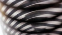 Air Quality -Video Still. (2012) Sound by Luke Fischbeck