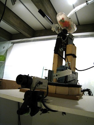 Excerpt from "Of How We Have to Leave Doubts Expectations and the Unachieved"