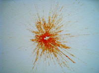 Excerpt from "Of How We Have to Leave Doubts Expectations and the Unachieved"