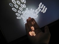 Excerpt from "Delicate Boundaries"