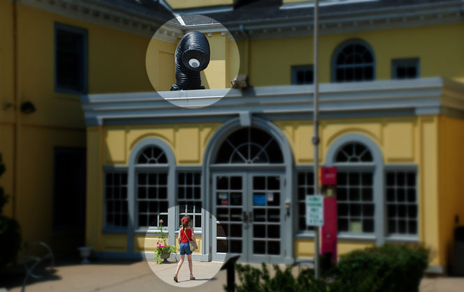 Excerpt from "Snout"