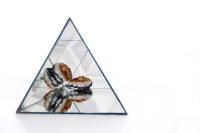 Amethyst from the series "Minerals", (2013)