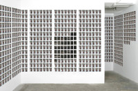 David, My Curator, from "Sessions 1", (2011)