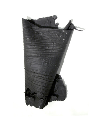 Shadow of Leaves, (2013)