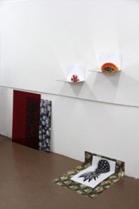 Installation view of "Still Life With Fruit", (2013)