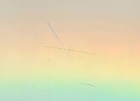 Palm XXXXVIIII, (2012)