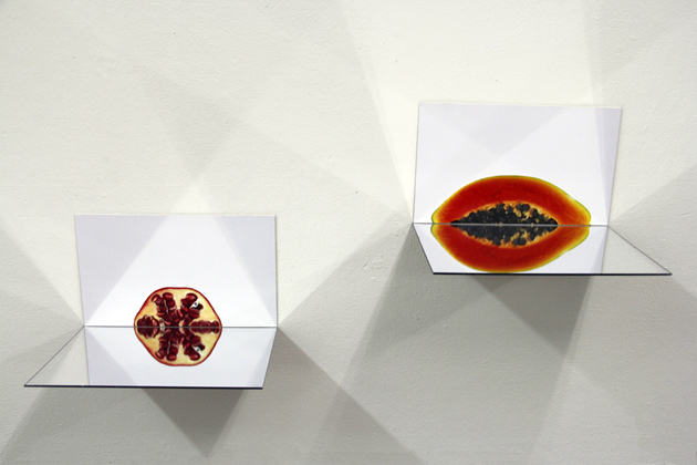 Pomegranate and Papaya from the installation "Still Life With Fruit", (2013)