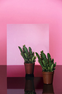 Reflection With Object 02, (2012)