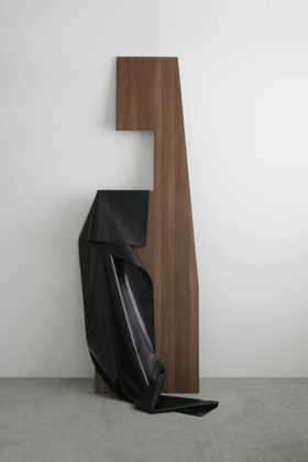 Untitled, (2010)